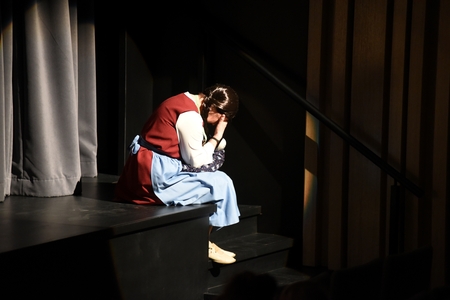 Sivilja in skarjice 18